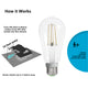 4PACK Motion Sensor LED Filament Bulb 5W Equivalent 60W 2700K Warmwhite No DIM - 7Pandas Australia